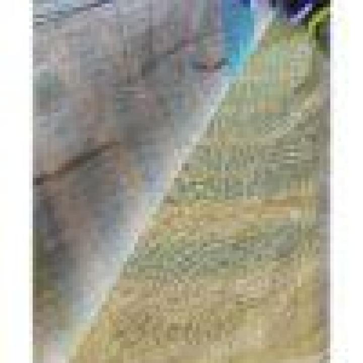 Linen saree in Blue & Yellow