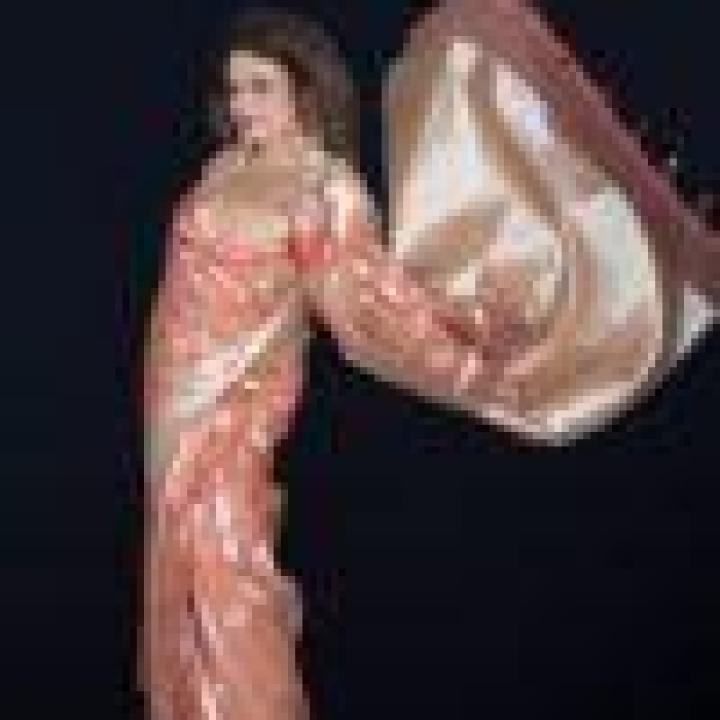 Viscose Tissue Saree