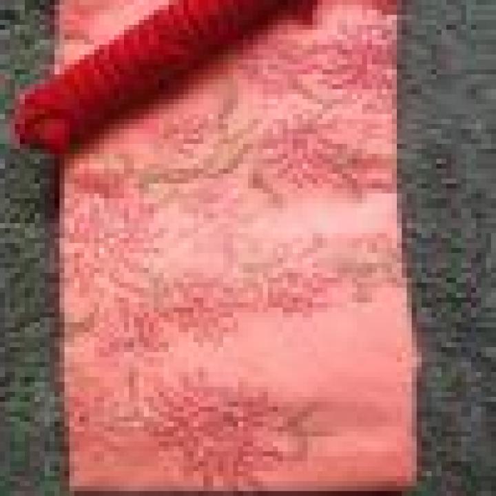 Hand-Embroidered Pure Cotton Suit with Laced Chiffon Dupatta